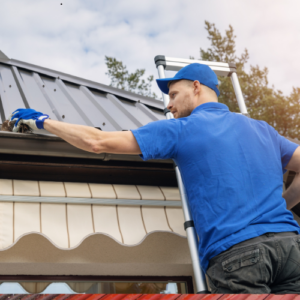 Roof Cleaning Costs