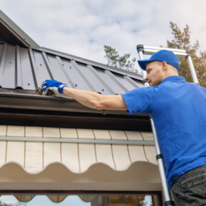 Gutter cleaning guide