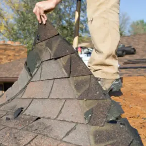 Roof algae removal