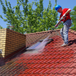 Remove roof moss