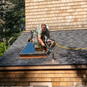 Roof Cleaning Costs